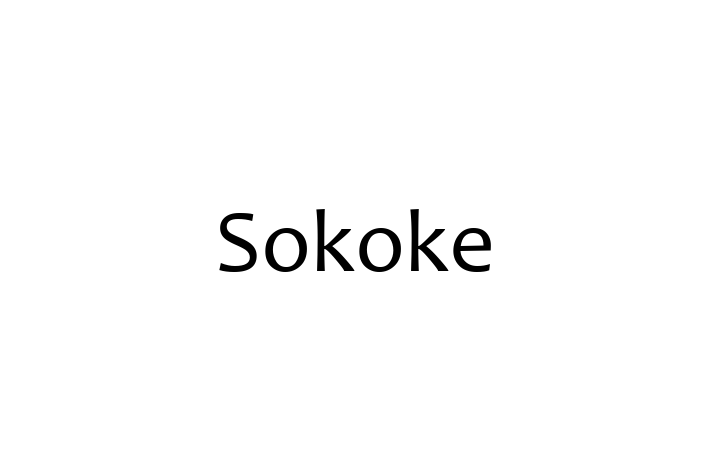 Find Your New Sokoke Cat in Sutton