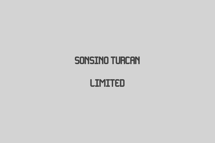 Sonsino Turcan Limited