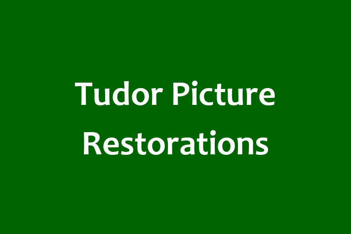 Tudor Picture Restorations