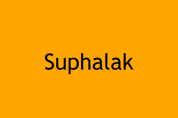 Adopt a Beautiful Suphalak Cat in Wakefield