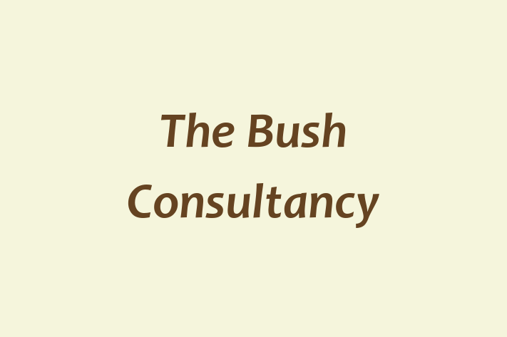 The Bush Consultancy