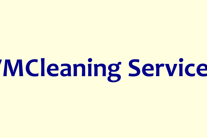 VMCleaning Services