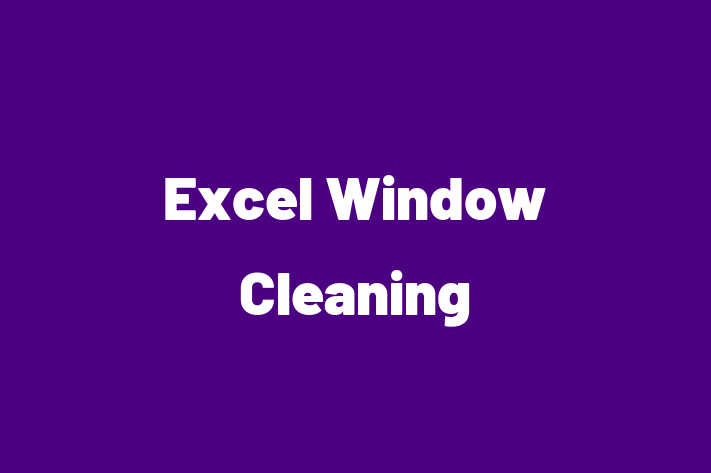 Excel Window Cleaning