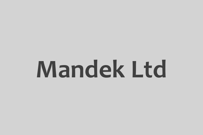 Mandek Ltd