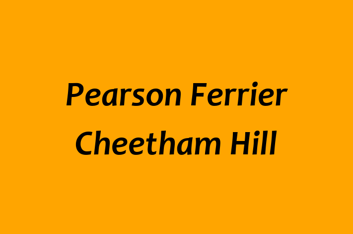 Pearson Ferrier Cheetham Hill