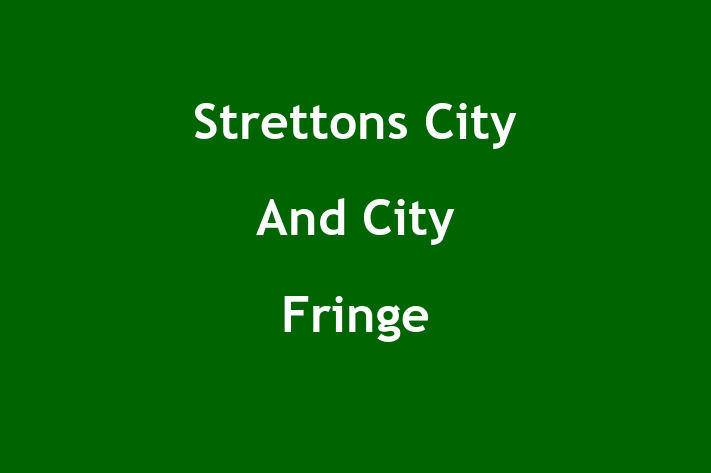 Strettons City And City Fringe