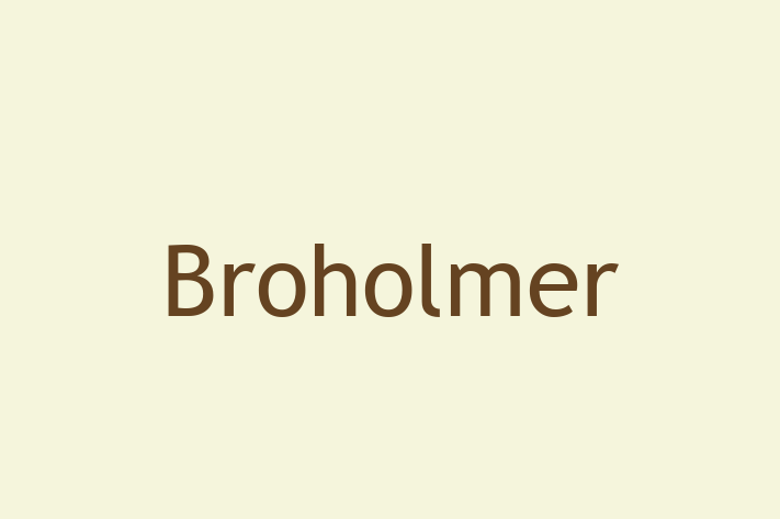 Dog Broholmer for Sale in Huntingdon