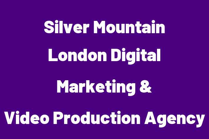 Silver Mountain London Digital Marketing & Video Production Agency