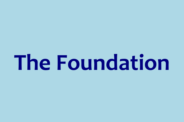 The Foundation