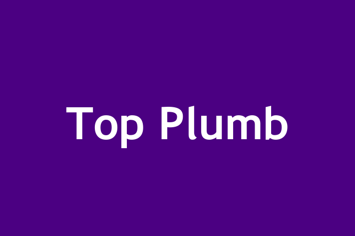 Top Plumb