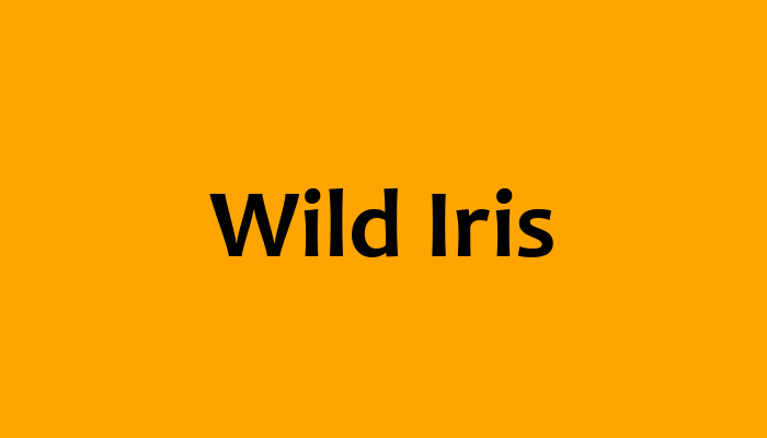 Wild Iris