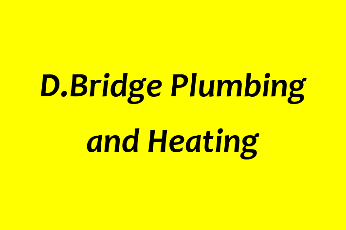 D Bridge Plumbing and Heating