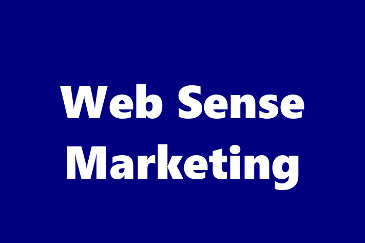 Web Sense Marketing