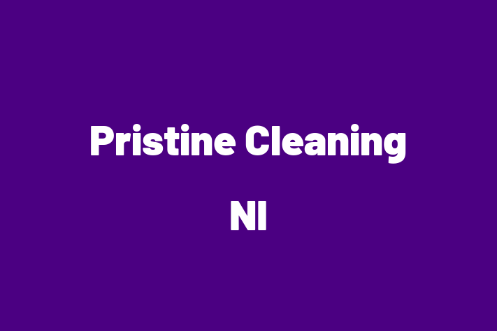 Pristine Cleaning NI