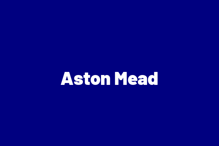 Aston Mead