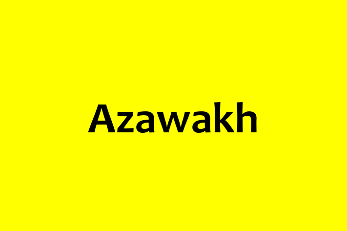 Azawakh Dog for Sale in Reading