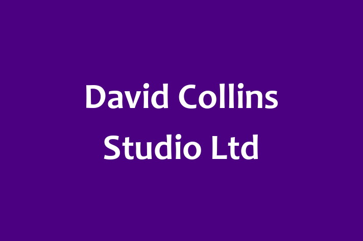 David Collins Studio Ltd