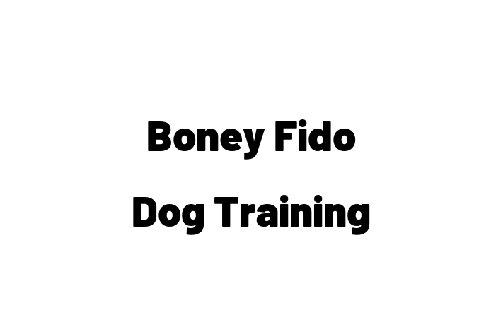 Boney Fido Dog Training