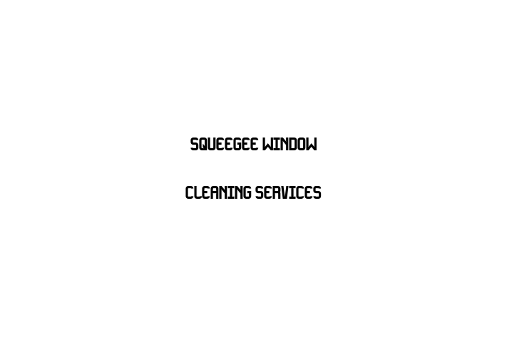 Squeegee Window Cleaning Services