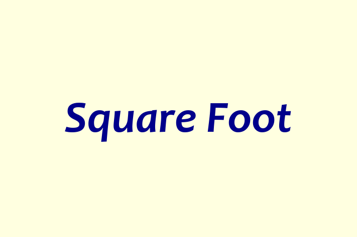 Square Foot