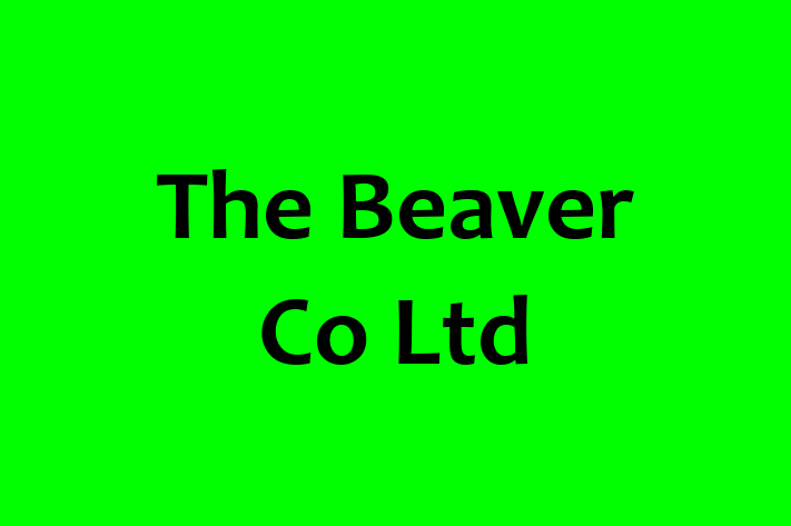 The Beaver Co Ltd