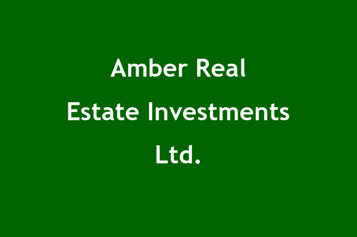 Amber Real Estate Investments Ltd 