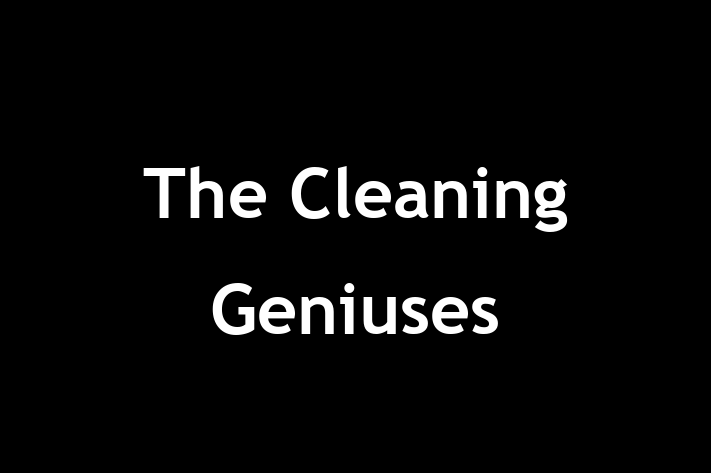 The Cleaning Geniuses