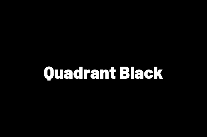 Quadrant Black