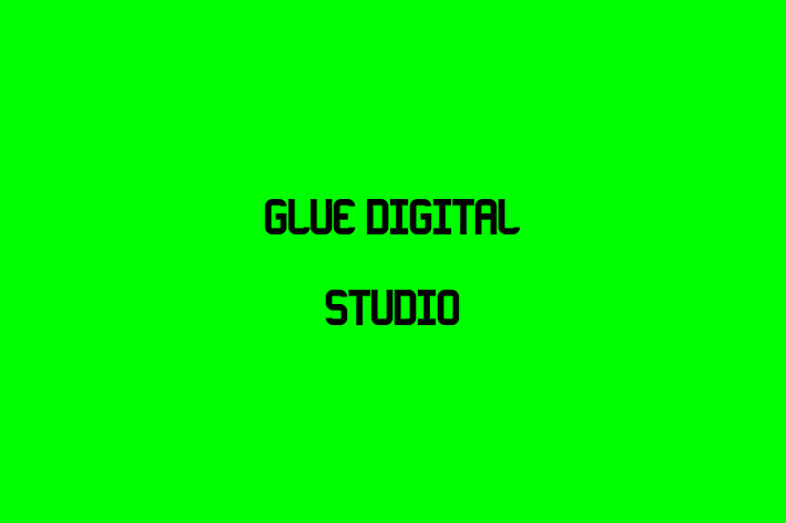 Glue Digital Studio