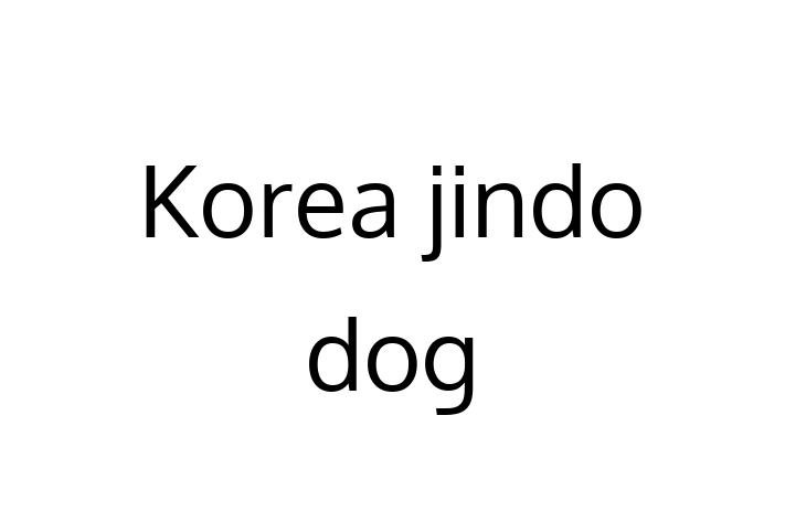 Korea jindo dog for Sale in Dartford