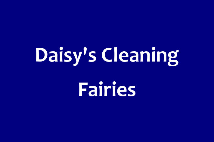 Daisy's Cleaning Fairies