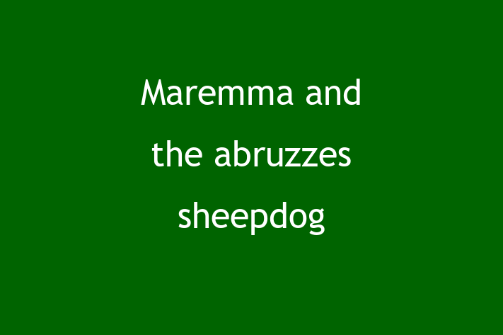 Maremma and the abruzzes sheepdog Dog for Sale in Abergavenny