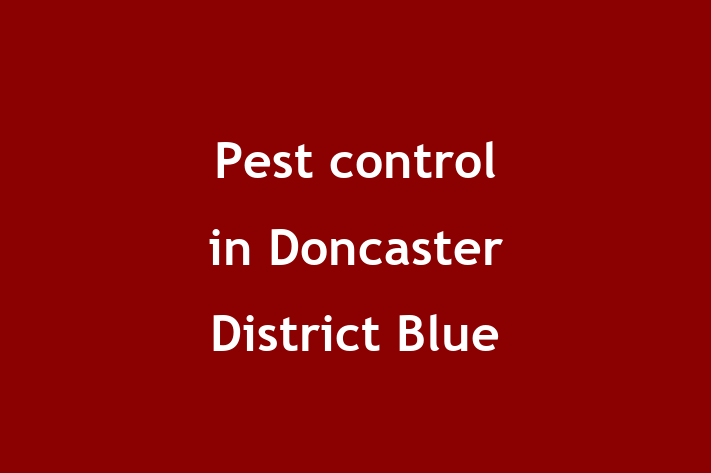 Pest control in Doncaster District Blue