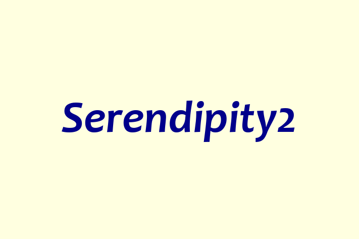 Serendipity2