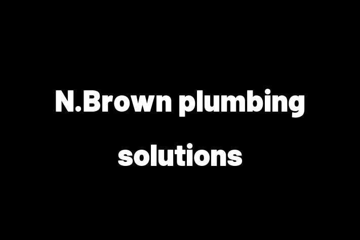 N Brown plumbing solutions