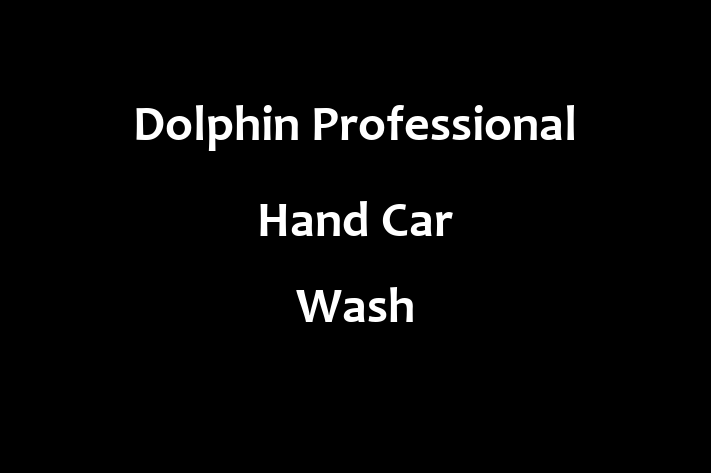 Dolphin Professional Hand Car Wash