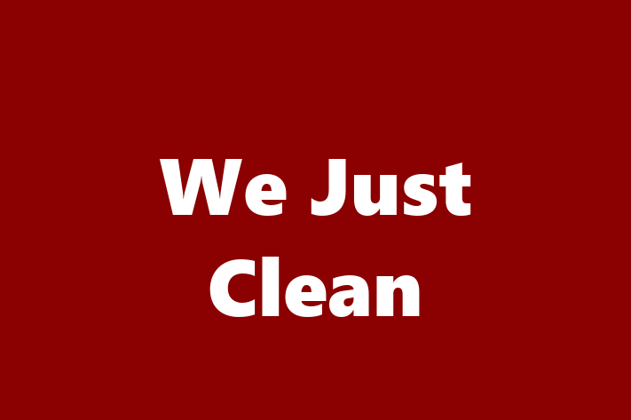 We Just Clean