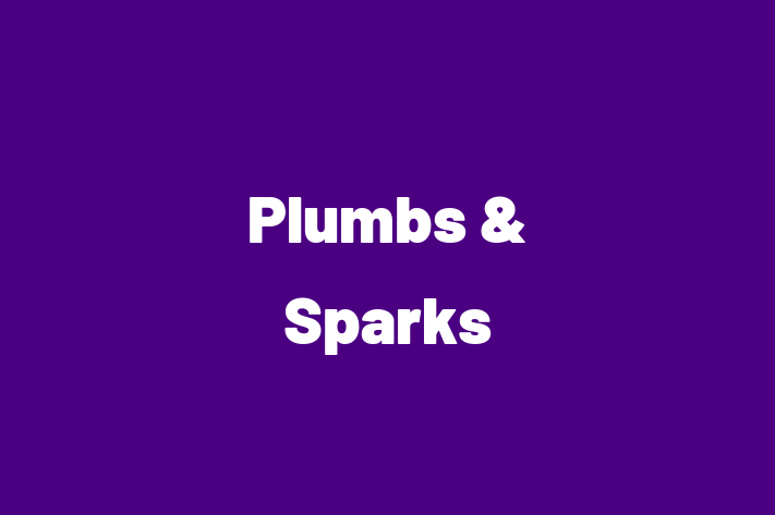 Plumbs & Sparks