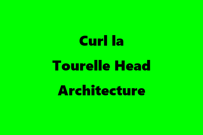 Curl la Tourelle Head Architecture