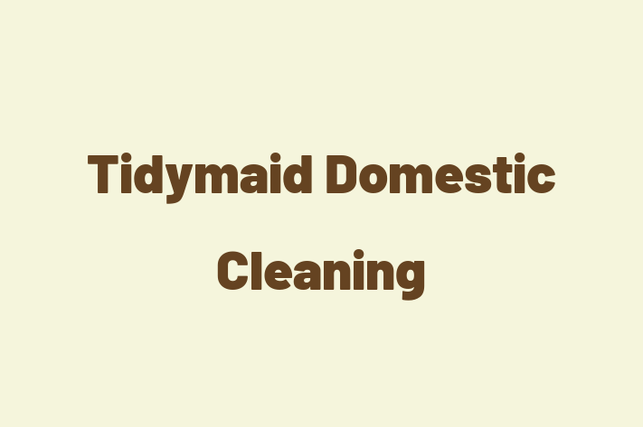 Tidymaid Domestic Cleaning