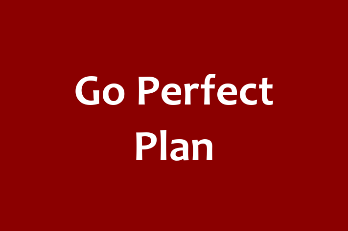 Go Perfect Plan