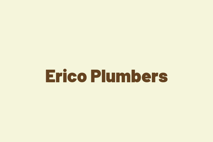 Erico Plumbers