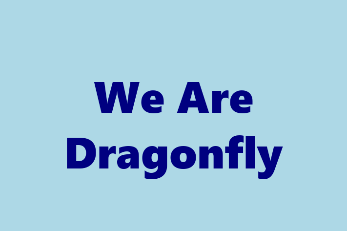 We Are Dragonfly