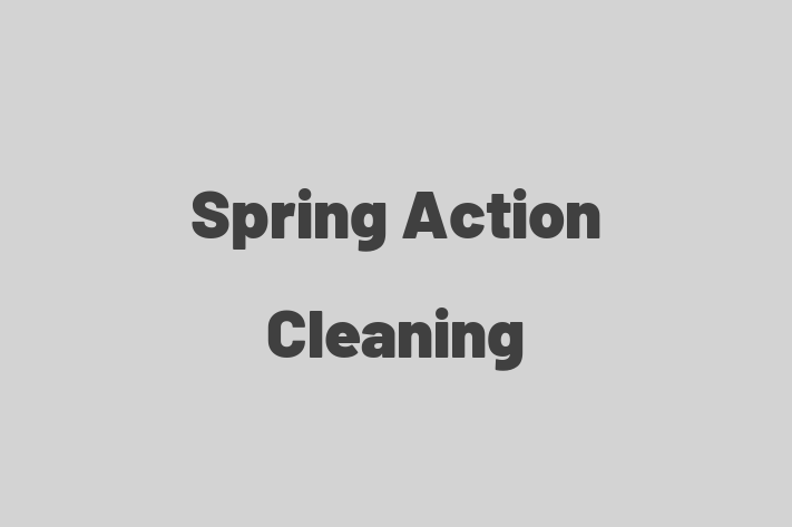 Spring Action Cleaning