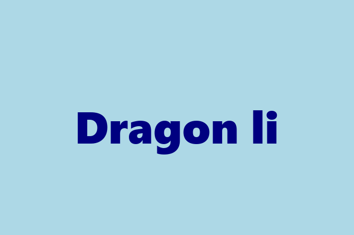 Cat Dragon li for Sale in Darwen