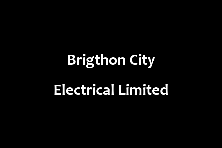 Brigthon City Electrical Limited