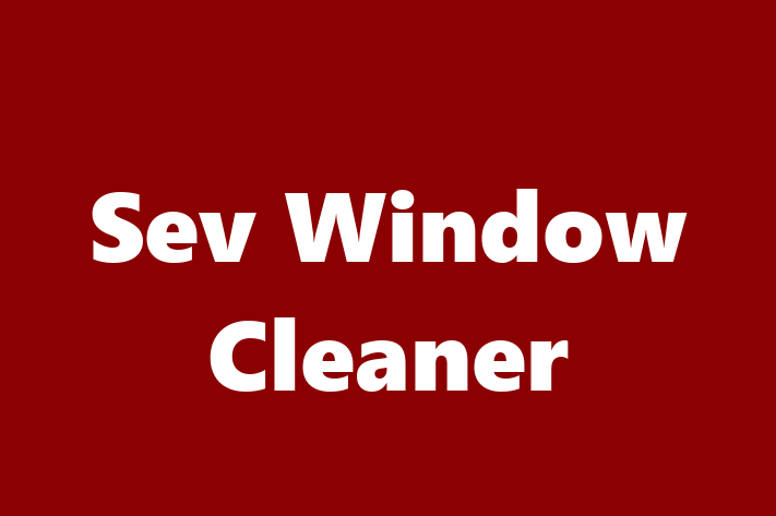 Sev Window Cleaner