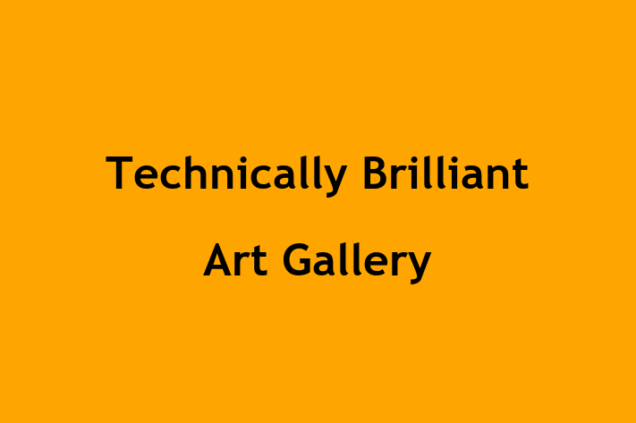 Technically Brilliant Art Gallery