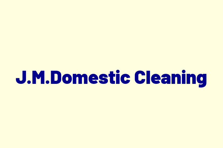 J M Domestic Cleaning