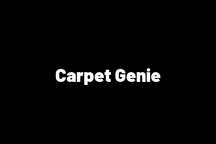 Carpet Genie